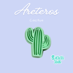 Cactus Areteros | Kactucito Studio