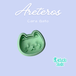 Cara Gato Areteros | Kactucito Studio