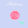 Aro | Kactucito Studio