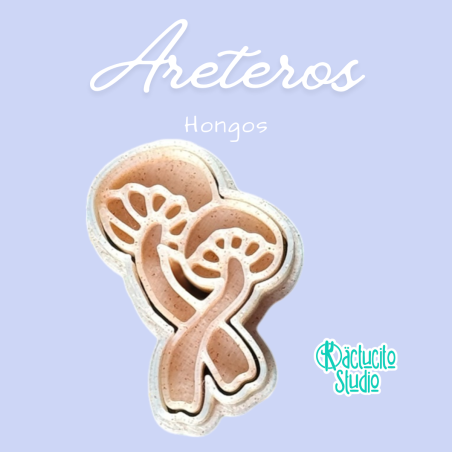 Hongos | Kactucito Studio