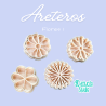 Flores 1 | Kactucito Studio