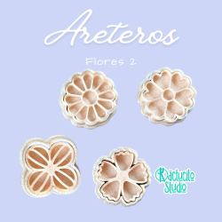 Flores 2 | Kactucito Studio