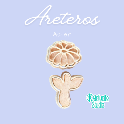 Aster | Kactucito Studio