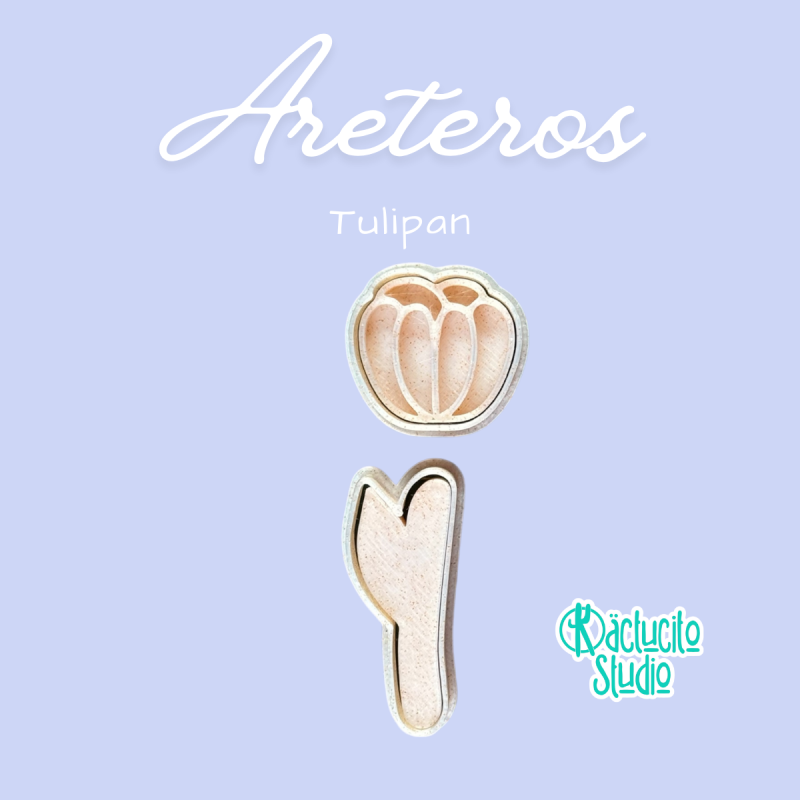 Tulipan | Kactucito Studio