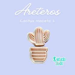 Cactus maceta 2 | Kactucito Studio