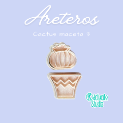 Cactus maceta 3 | Kactucito Studio