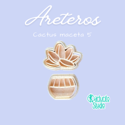 Cactus maceta 5 | Kactucito Studio