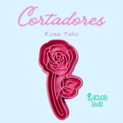 Rosa Tallo | Kactucito Studio