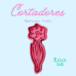 Narciso Tallo | Kactucito Studio