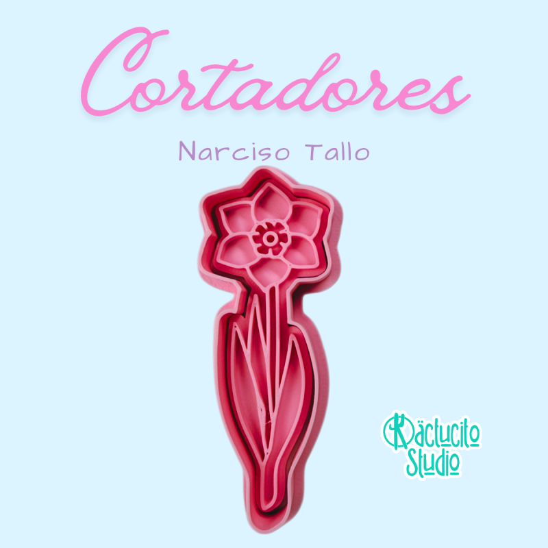 Narciso Tallo | Kactucito Studio