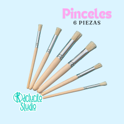 Kit de pinceles redondos cepillado en seco | Kactucito Studio