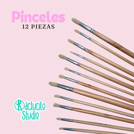 Kit de pinceles redondos cepillado en seco | Kactucito Studio